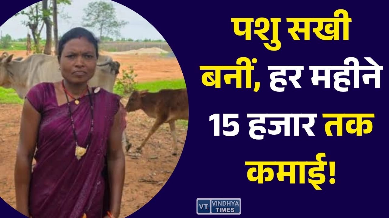 CG News: बिहान योजना से बदली तैलासो की जिंदगी, पशु सखी बनकर बनीं आत्मनिर्भर
