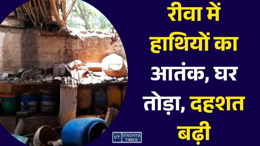 Rewa News: रीवा के गुढ़ क्षेत्र में हाथियों का उत्पात, धुअर गांव में मकान तोड़ा, ग्रामीणों में दहशत