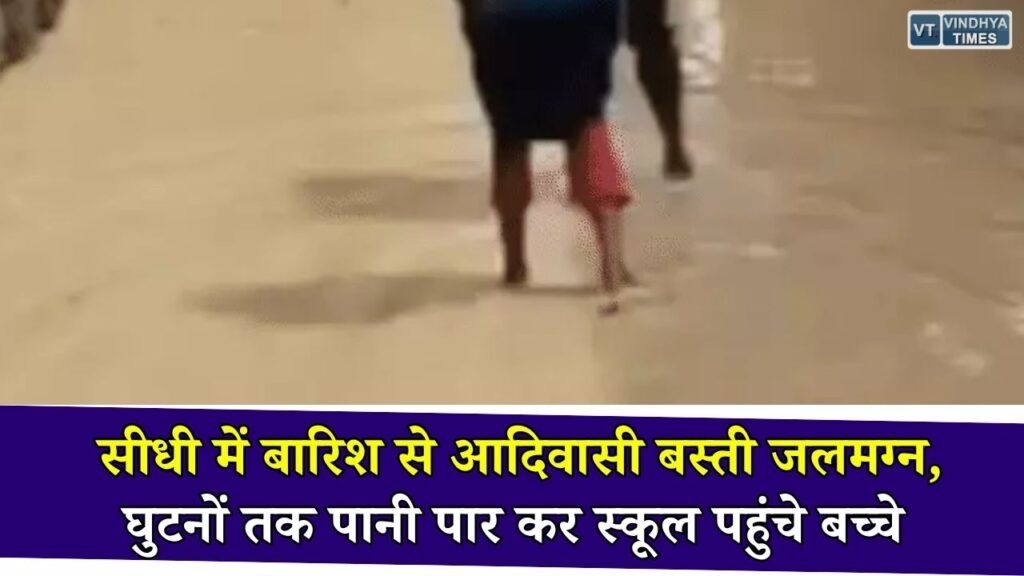 Sidhi News: सीधी के आदिवासी बस्ती में जलभराव से बढ़ी परेशानी, घुटनों तक पानी पार कर स्कूल पहुंचे छात्र