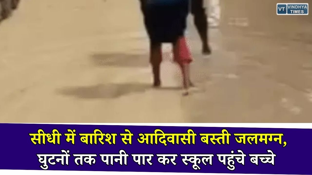 Sidhi News: सीधी के आदिवासी बस्ती में जलभराव से बढ़ी परेशानी, घुटनों तक पानी पार कर स्कूल पहुंचे छात्र