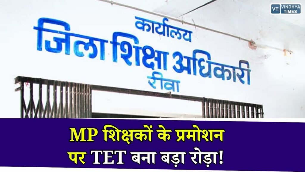 Rewa News: स्कूल शिक्षा विभाग जल्द जारी करेगा प्रमोशन लिस्ट, TET और नए नियमों से हजारों शिक्षकों की बढ़ी चिंता