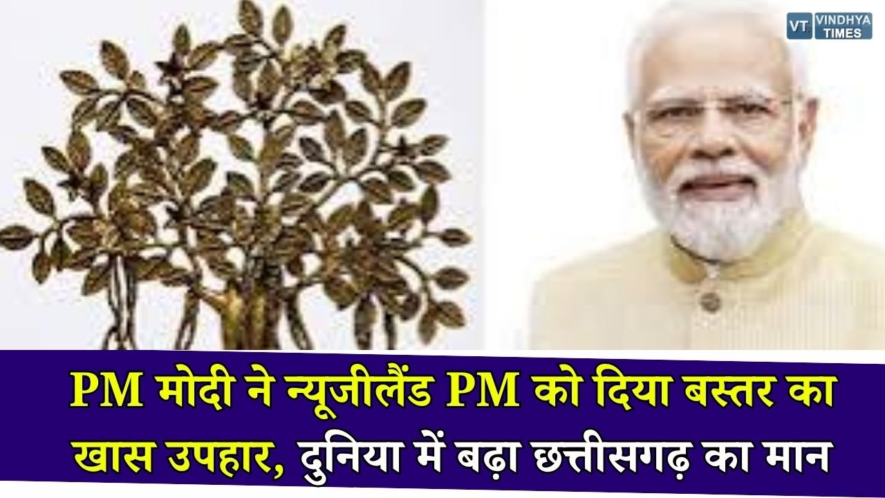 CG News: विश्व मंच पर छत्तीसगढ़ की पहचान, प्रधानमंत्री नरेंद्र मोदी ने न्यूजीलैंड के प्रधानमंत्री को भेंट की बस्तर की ढोकरा ट्री ऑफ लाइफ शिल्पकृति