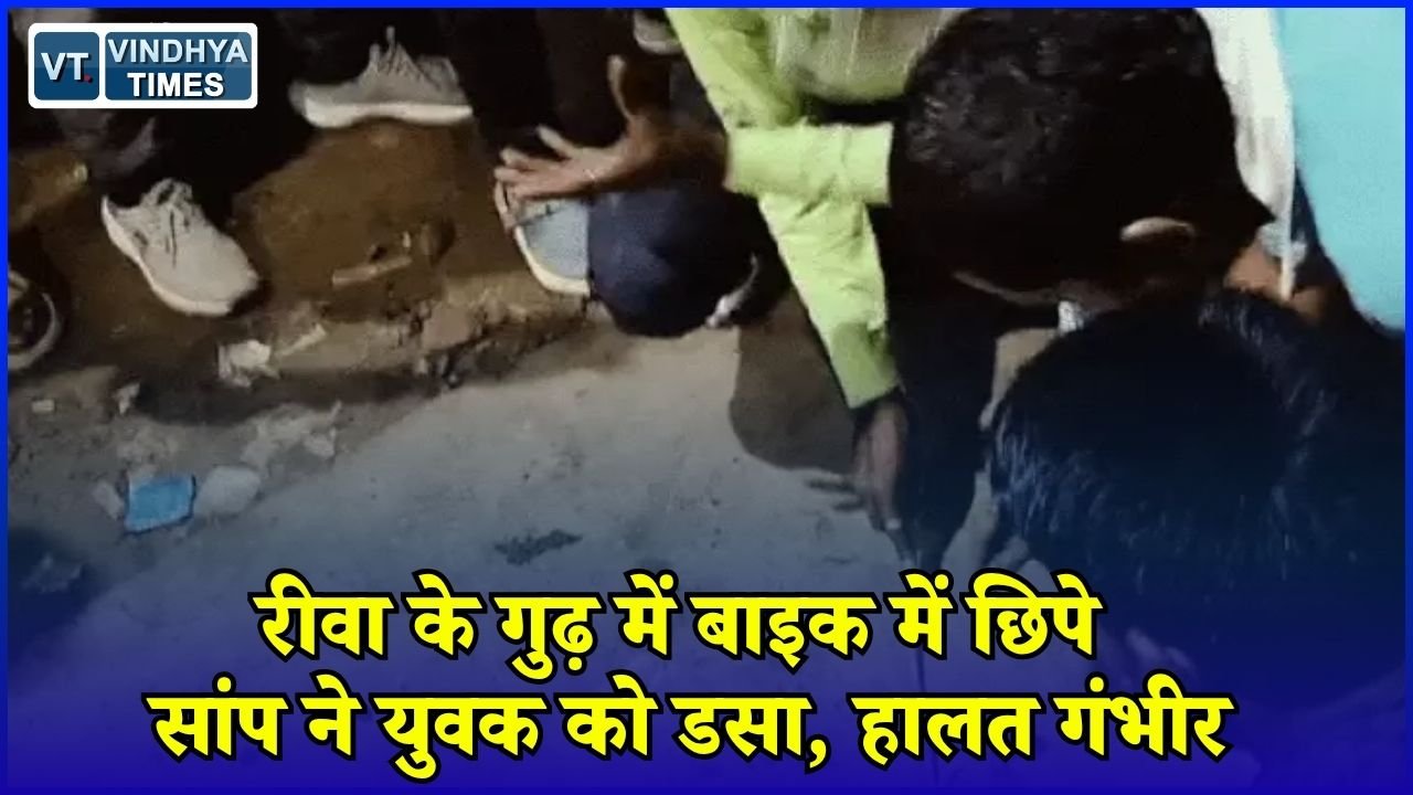 Rewa News: रीवा में बाइक में छिपा था जहरीला सांप, स्टार्ट करते ही युवक को डसा