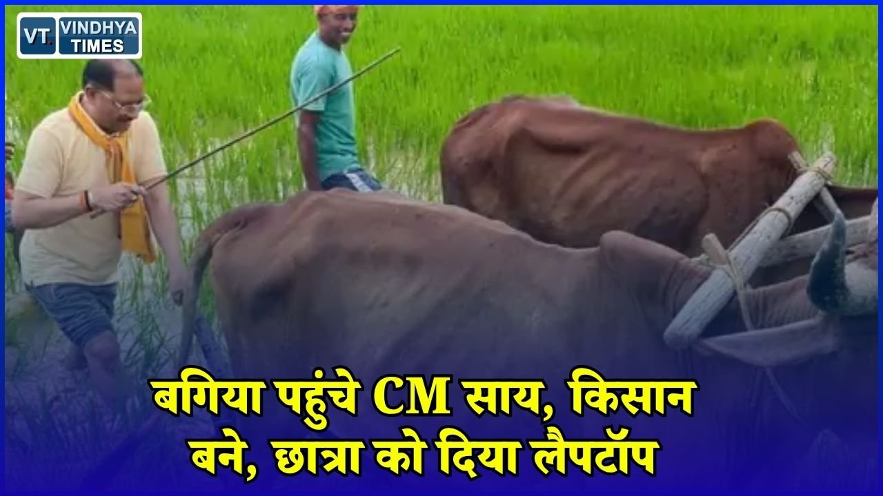 CG News: बगिया में CM साय का अलग अंदाज, खेत में की बियासी, दृष्टिबाधित छात्रा को मिला लैपटॉप