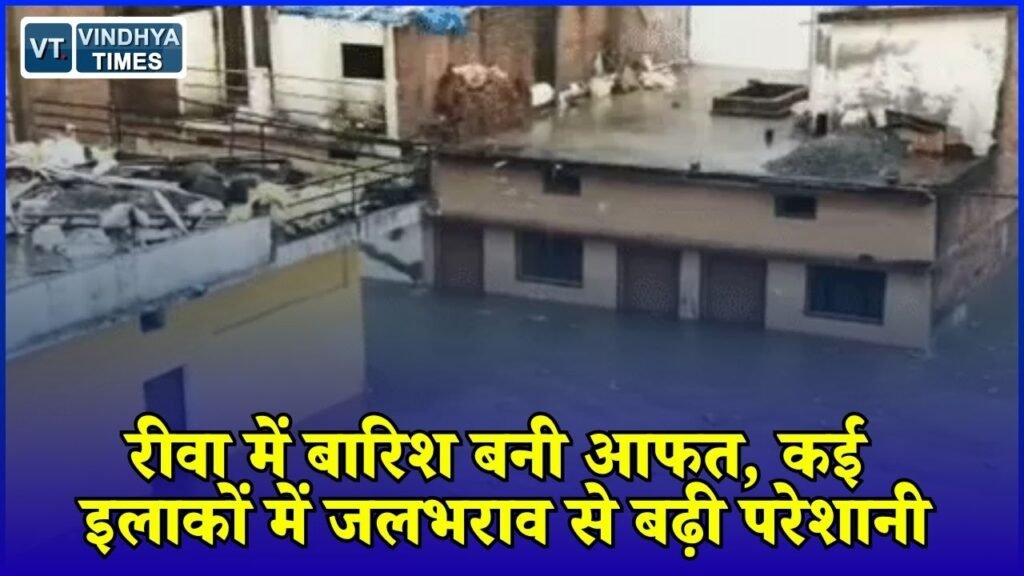 Rewa News: रीवा में 2 घंटे की तेज बारिश से डूबे कई इलाके, कलेक्टर ने मौके पर पहुंचकर दिए जलनिकासी के निर्देश