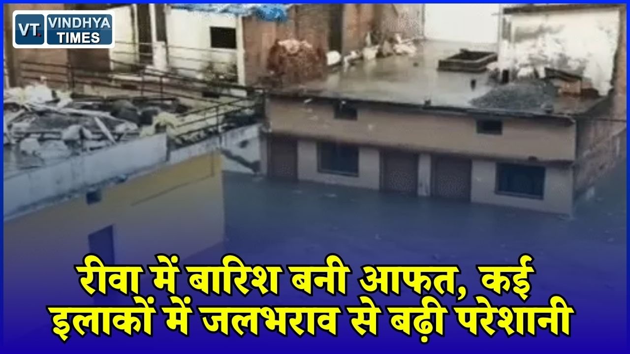 Rewa News: रीवा में 2 घंटे की तेज बारिश से डूबे कई इलाके, कलेक्टर ने मौके पर पहुंचकर दिए जलनिकासी के निर्देश