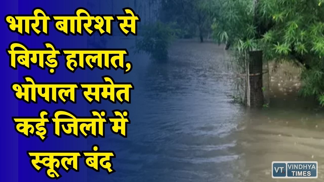 MP News: लगातार बारिश से नदी-नाले उफान पर, कई इलाकों में बाढ़ का खतरा