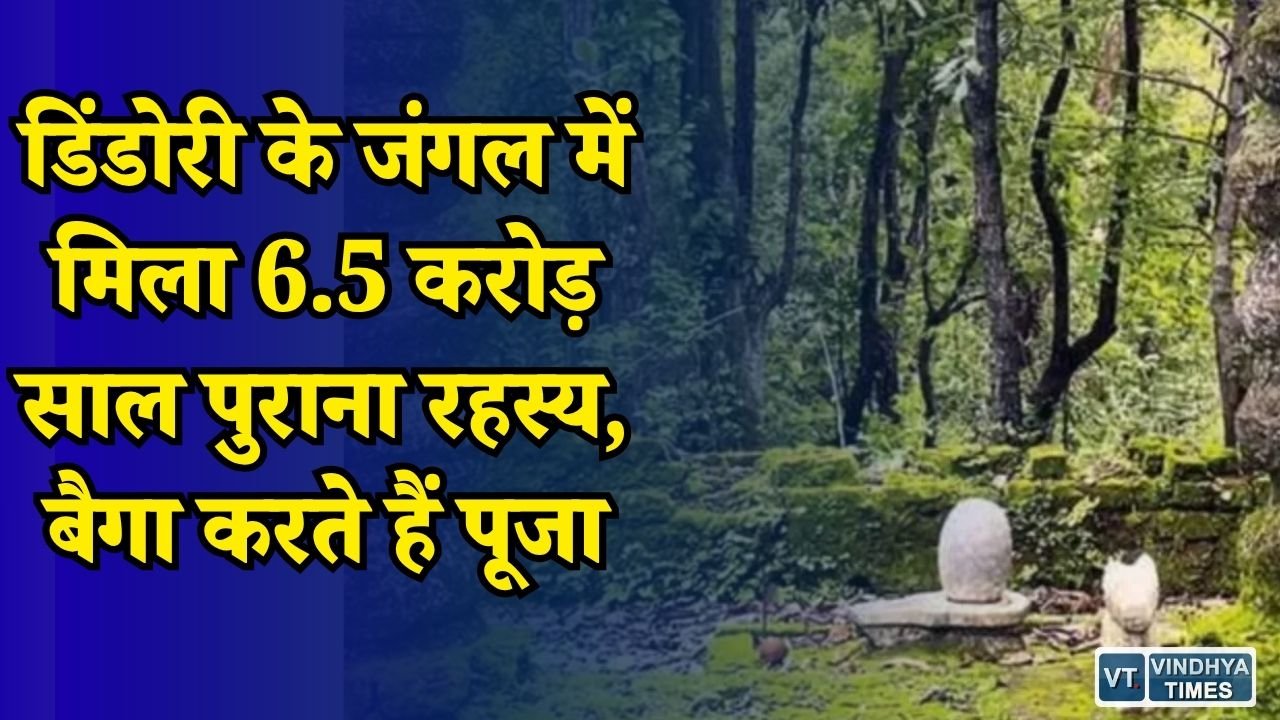 MP News: बैगा जनजाति जिस पत्थर को पूजती रही, उसमें छिपा निकला करोड़ों साल पुराना राज