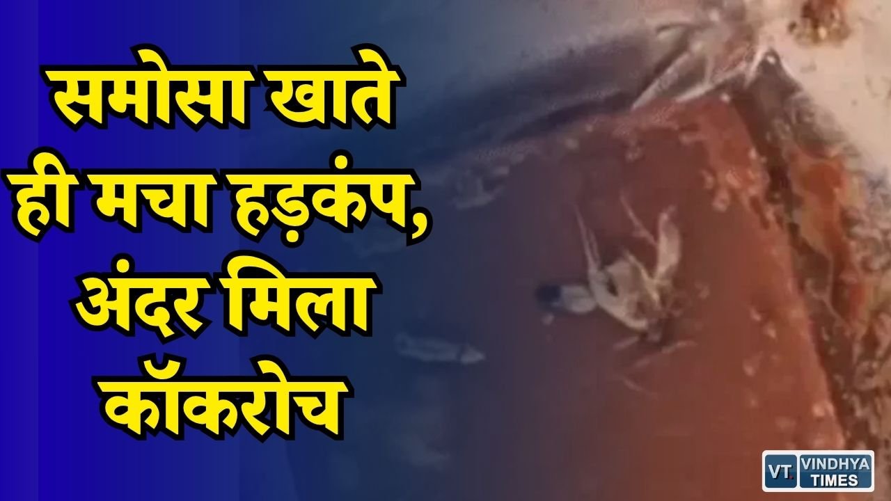 MP News: इंदौर में समोसे के अंदर मिला कॉकरोच, ग्राहक ने की शिकायत