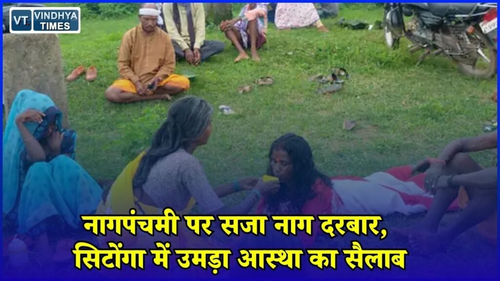 CG News: जशपुर के सिटोंगा में नागपंचमी पर अनोखी परंपरा, नाग मंदिर में उमड़ी श्रद्धालुओं की भीड़