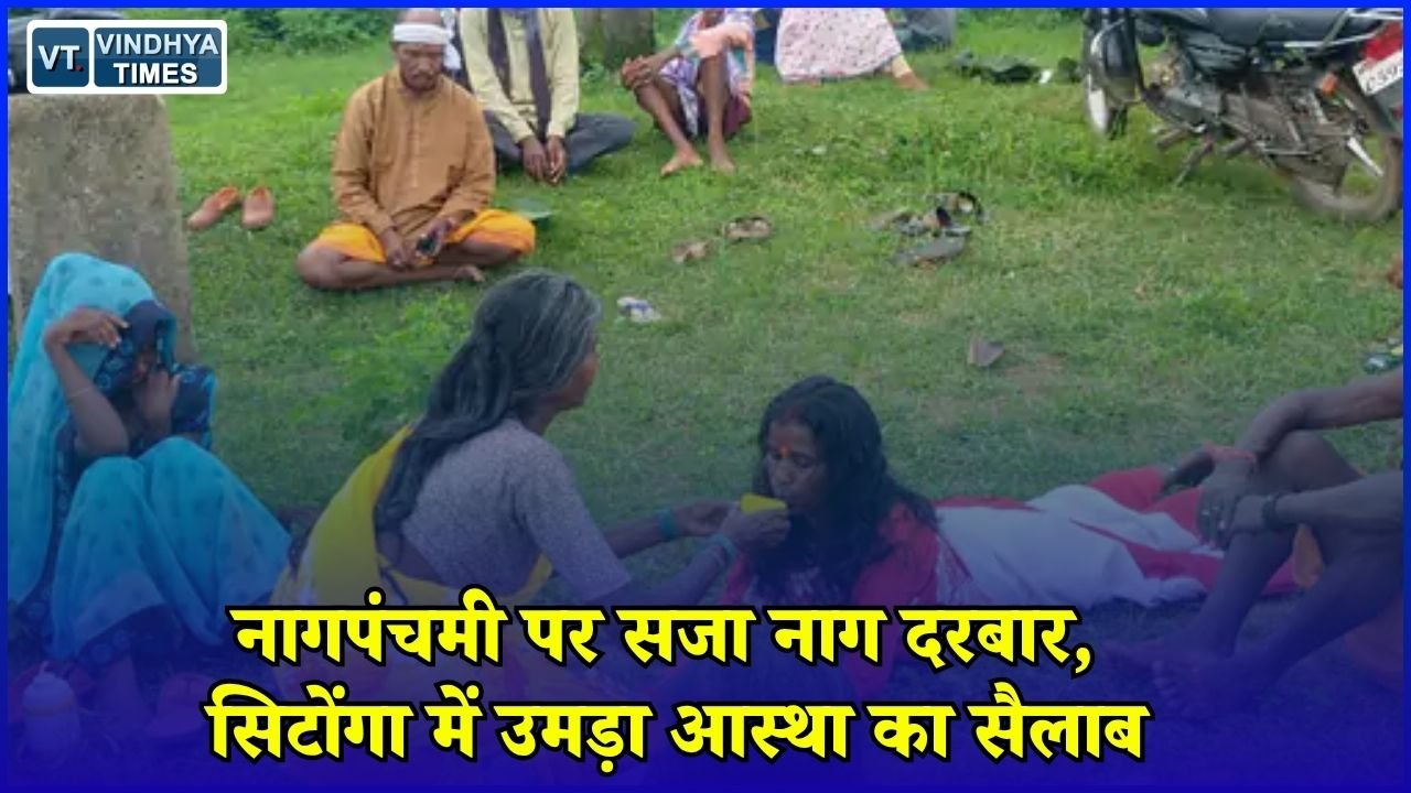 CG News: जशपुर के सिटोंगा में नागपंचमी पर अनोखी परंपरा, नाग मंदिर में उमड़ी श्रद्धालुओं की भीड़