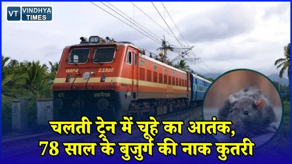 MP News: इंदौर आ रही ट्रेन में चूहे ने बुजुर्ग की नाक कुतरी, रेलवे की सफाई व्यवस्था पर उठे सवाल