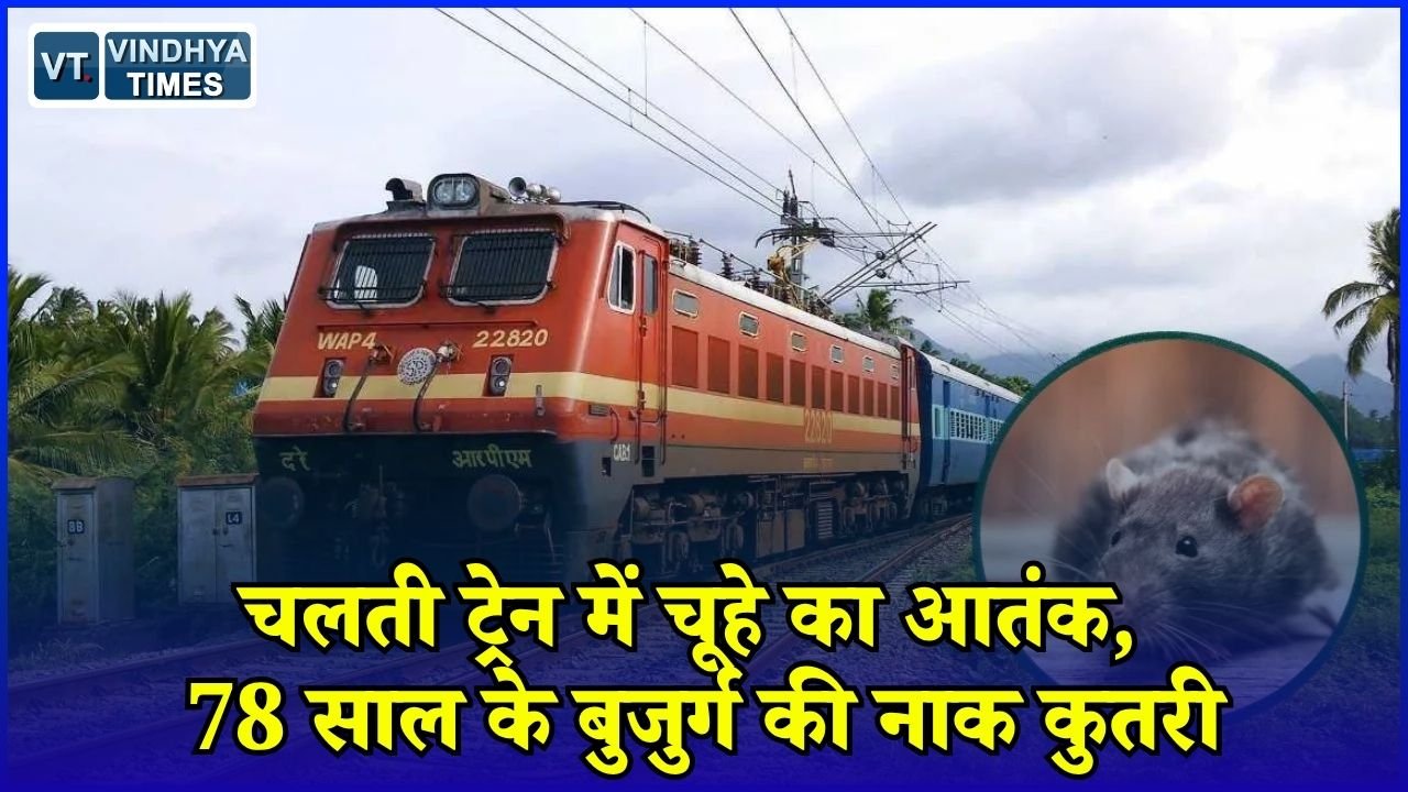 MP News: इंदौर आ रही ट्रेन में चूहे ने बुजुर्ग की नाक कुतरी, रेलवे की सफाई व्यवस्था पर उठे सवाल