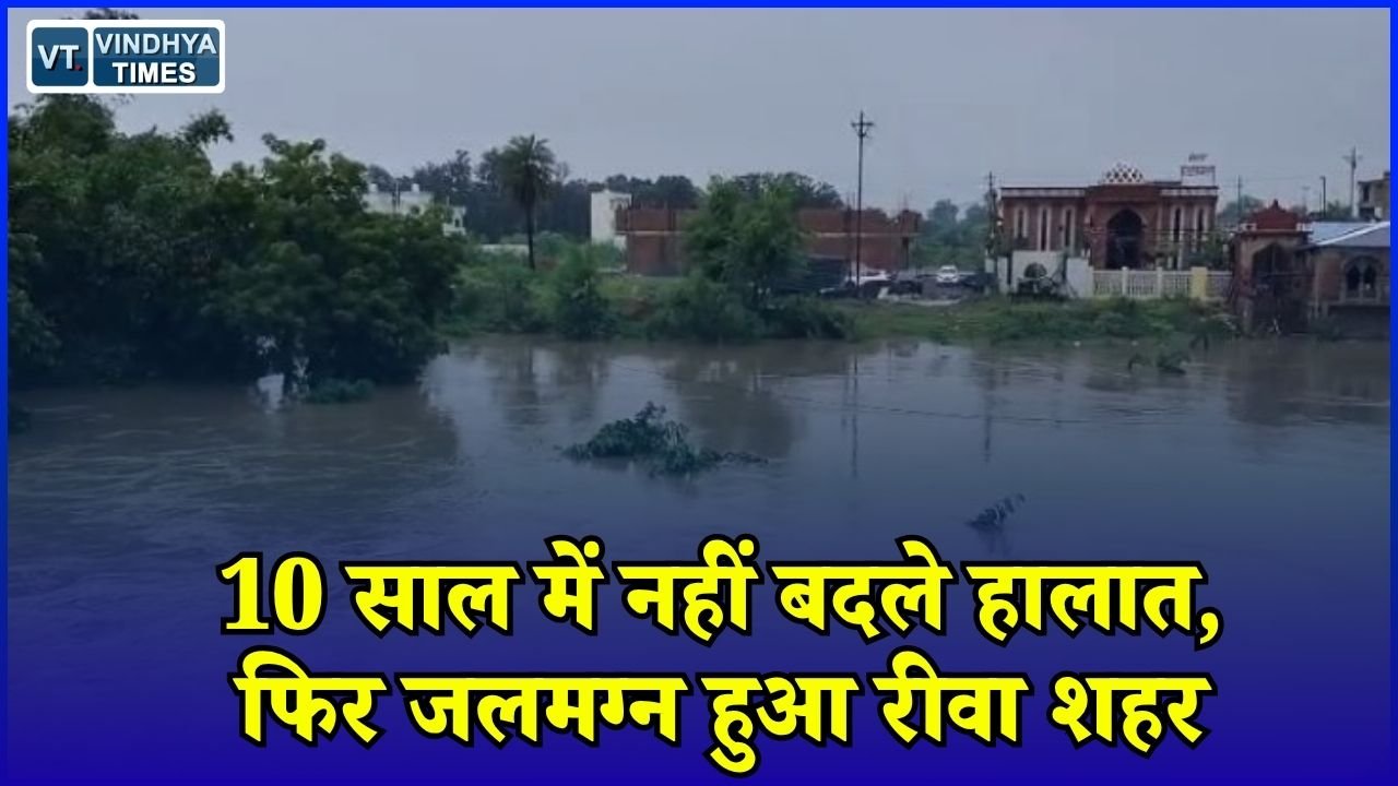 Rewa News: 10 साल बाद फिर डूबा रीवा, कागजों में दबकर रह गई बाढ़ से बचाव की योजना