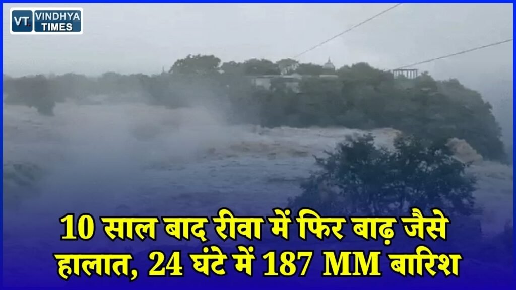 Rewa News: मूसलाधार बारिश से हाहाकार, 150 से ज्यादा गांव प्रभावित, 136 लोगों का रेस्क्यू