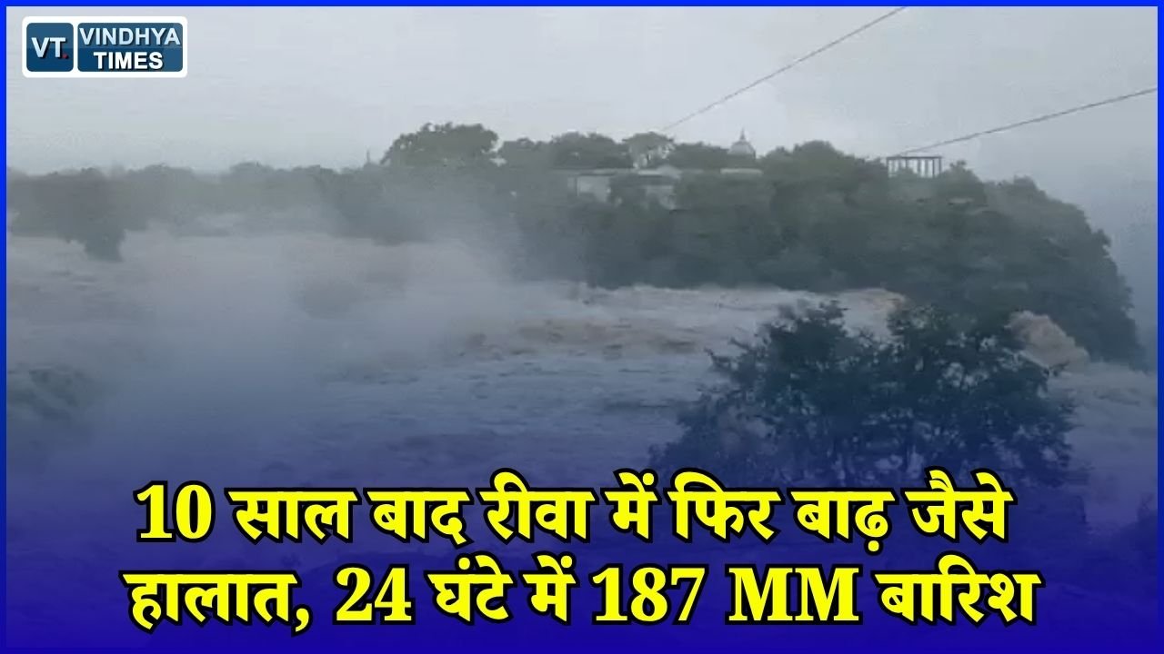 Rewa News: मूसलाधार बारिश से हाहाकार, 150 से ज्यादा गांव प्रभावित, 136 लोगों का रेस्क्यू