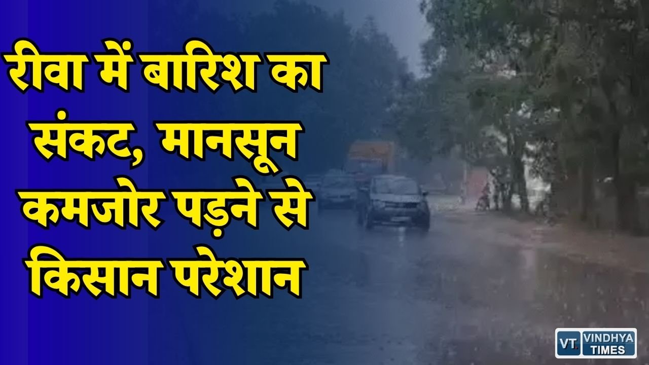 Rewa News: रीवा में अब तक सामान्य से कम बारिश, खरीफ फसलों पर बढ़ा संकट, किसानों को अच्छी बारिश का इंतजार