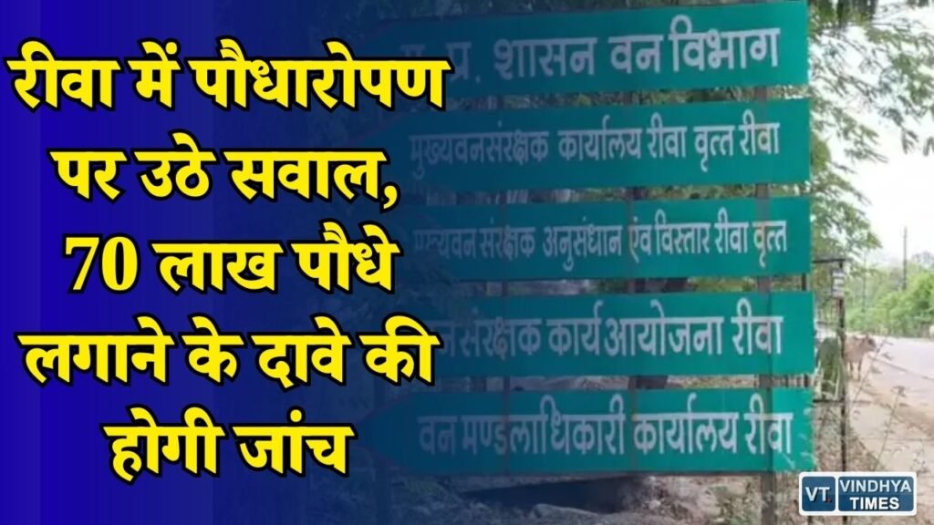 Rewa News: वन विभाग का बड़ा दावा, मानसून में लगाए 70 लाख पौधे, लेकिन जमीन पर नहीं दिख रही हरियाली
