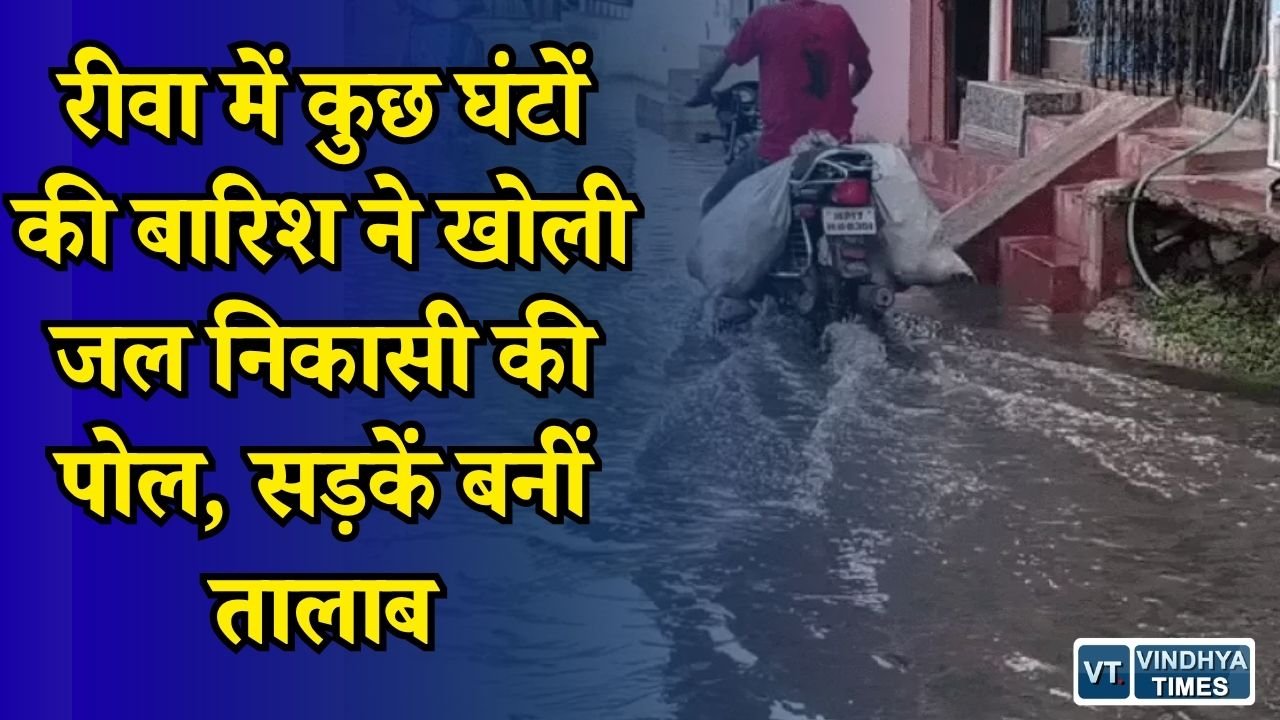 Rewa News: रीवा में बारिश से कई इलाके जलमग्न, घरों तक पहुंचा पानी, नगर निगम की व्यवस्था पर सवाल