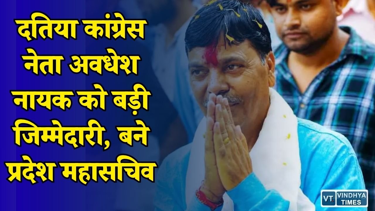 MP News: दतिया उपचुनाव जीत के बाद कांग्रेस का बड़ा फैसला, अवधेश नायक को मिली संगठन में अहम जिम्मेदारी