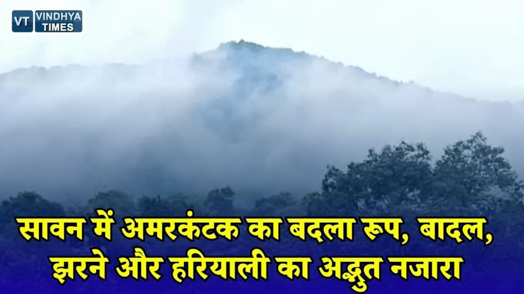 CG News: सावन की बारिश से निखरा अमरकंटक, मैकल की पहाड़ियों पर छाई हरियाली और धुंध