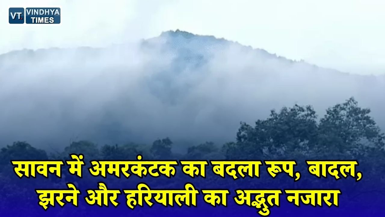 CG News: सावन की बारिश से निखरा अमरकंटक, मैकल की पहाड़ियों पर छाई हरियाली और धुंध