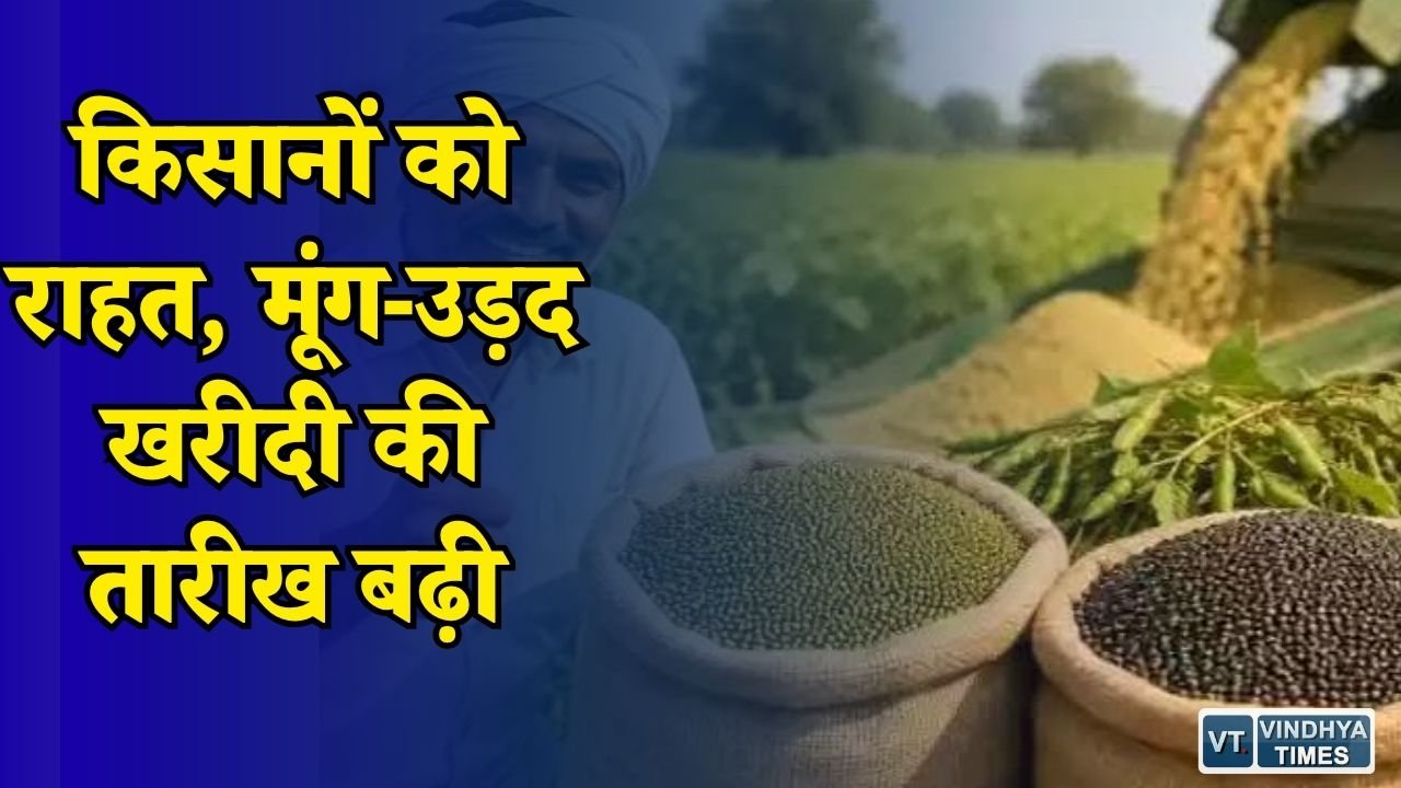 MP News: किसान आंदोलन के बाद सरकार का फैसला, अब 20 अगस्त तक होगी मूंग-उड़द खरीदी