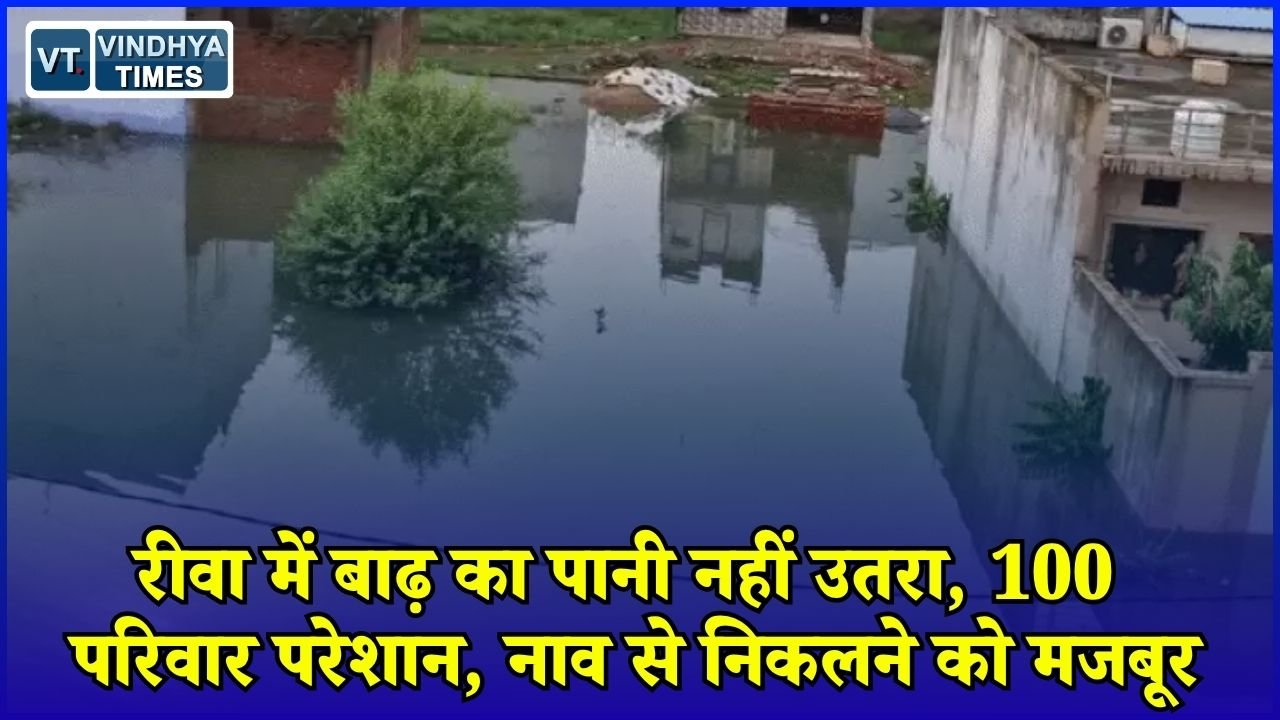 Rewa News: गायत्री नगर में अब भी कमर तक पानी, बच्चों की पढ़ाई और रक्षाबंधन पर पड़ा असर