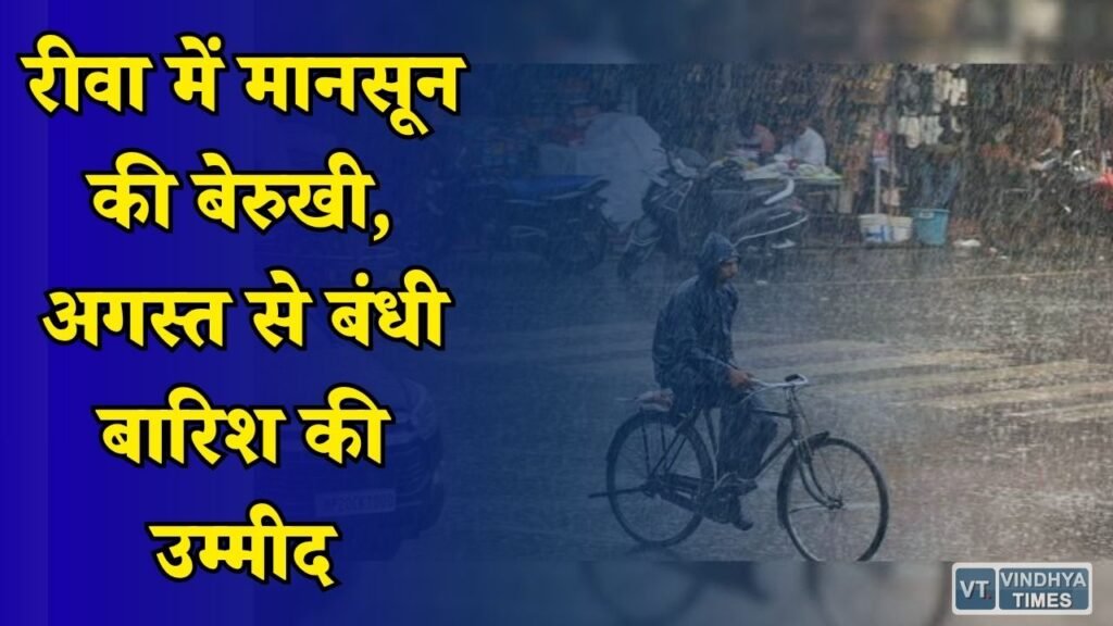 Rewa News: जून जुलाई में सूखा रीवा, अब अगस्त की बारिश से किसानों को आस