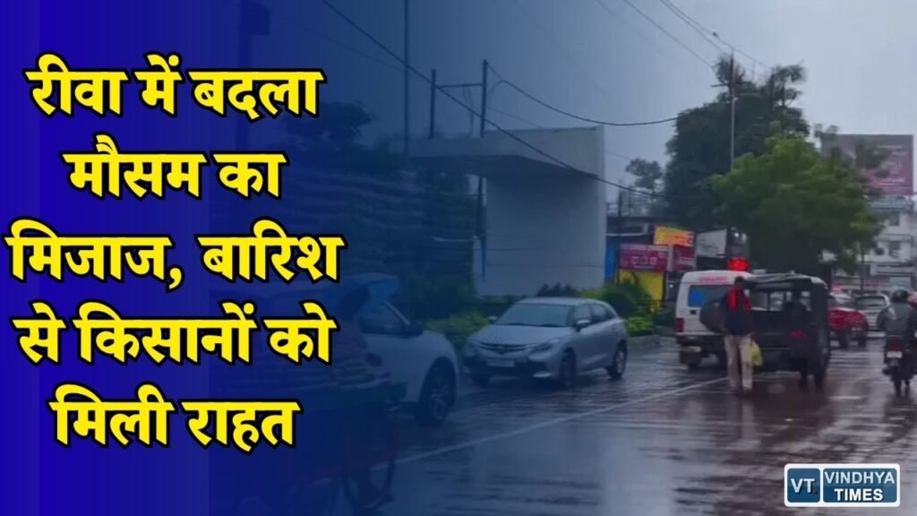 Rewa News: रीवा में 48 घंटे में अच्छी बारिश, खरीफ फसलों के लिए अभी भी इंतजार जारी