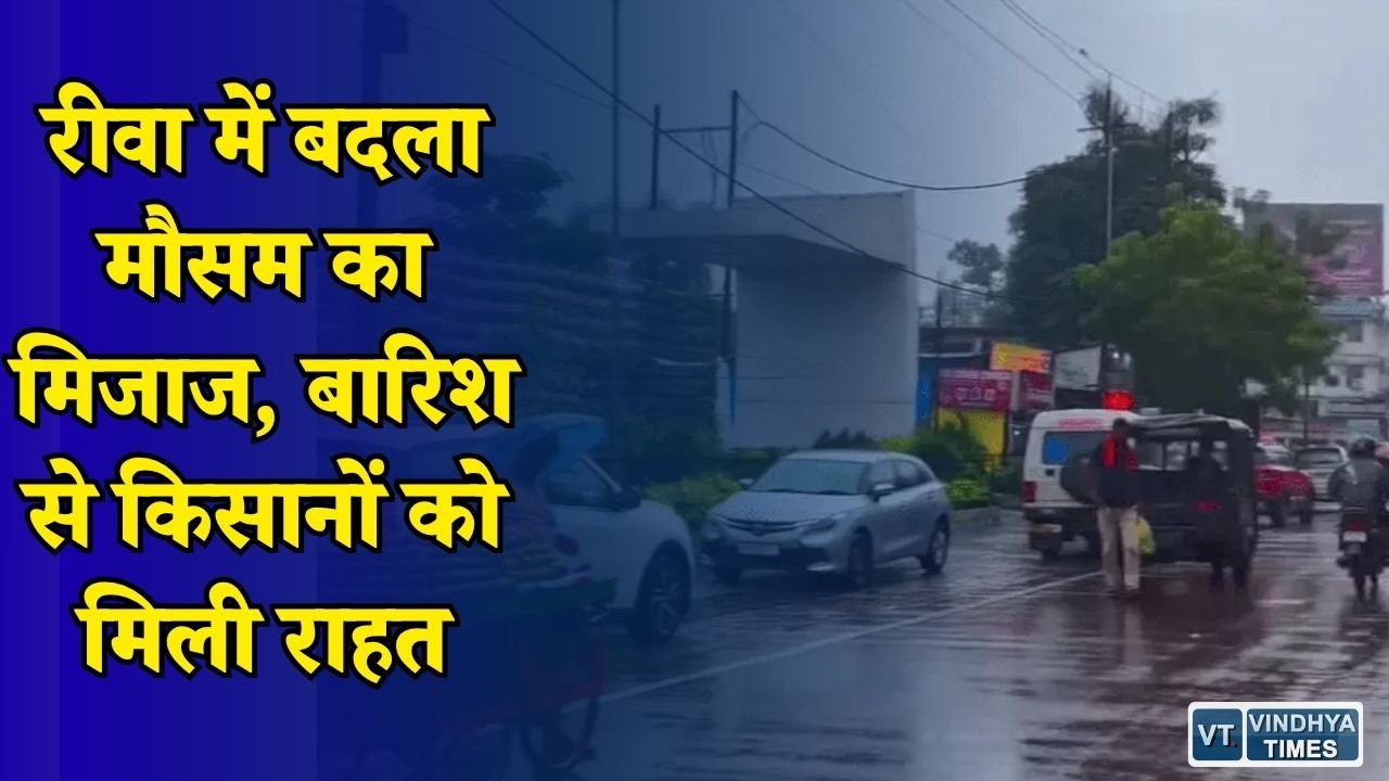 Rewa News: रीवा में 48 घंटे में अच्छी बारिश, खरीफ फसलों के लिए अभी भी इंतजार जारी