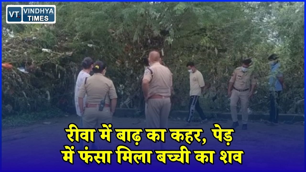 Rewa News: रीवा में बाढ़ के बाद दूसरी मौत, पेड़ में फंसा मिला 10-12 साल की बच्ची का शव