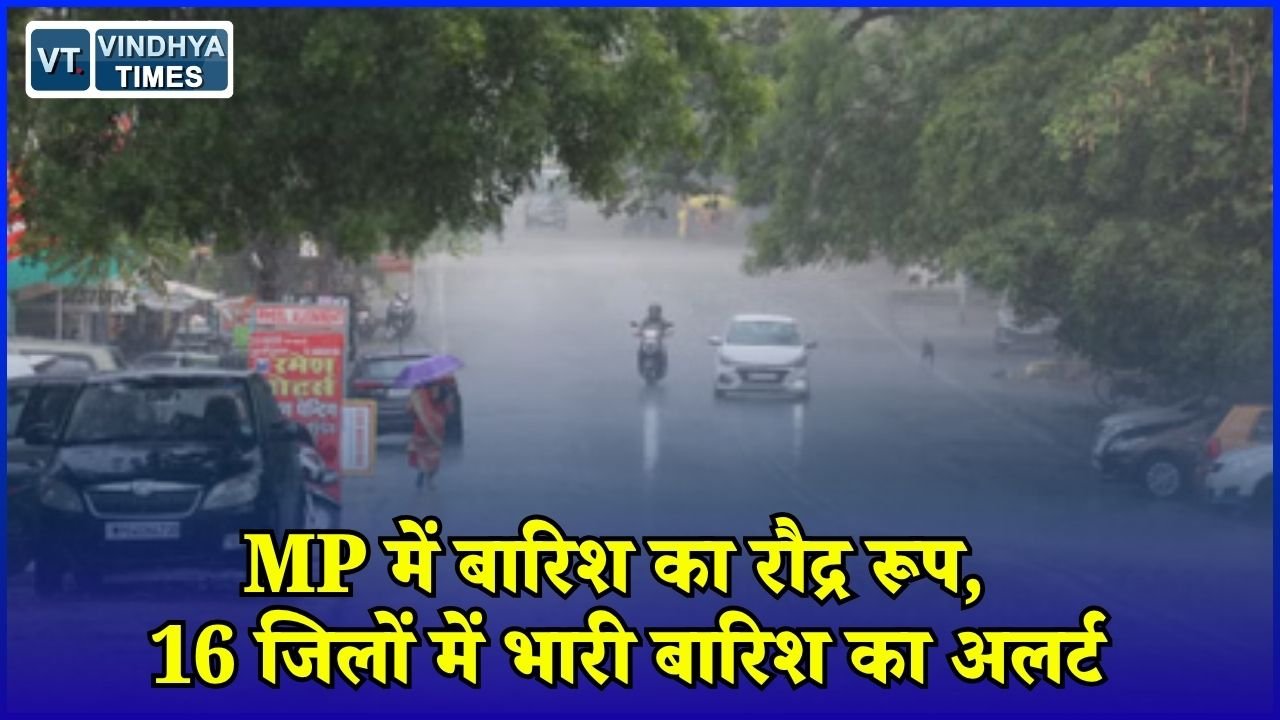 MP News: मध्य प्रदेश में स्ट्रॉन्ग मानसून सिस्टम, कई जिलों में बाढ़ जैसे हालात