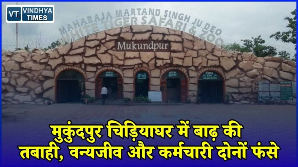 Rewa News: रीवा के मुकुंदपुर चिड़ियाघर में बाढ़ का कहर, नदी और नाले के बीच फंसी जिंदगी