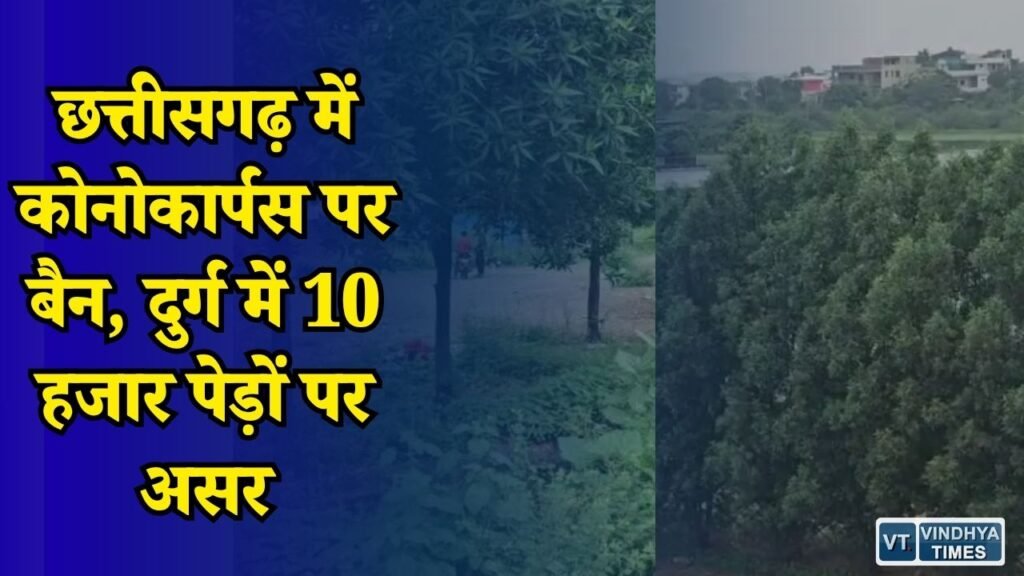 CG News: कोनोकार्पस पर सरकार का बड़ा फैसला, अब स्थानीय पौधों को मिलेगा बढ़ावा