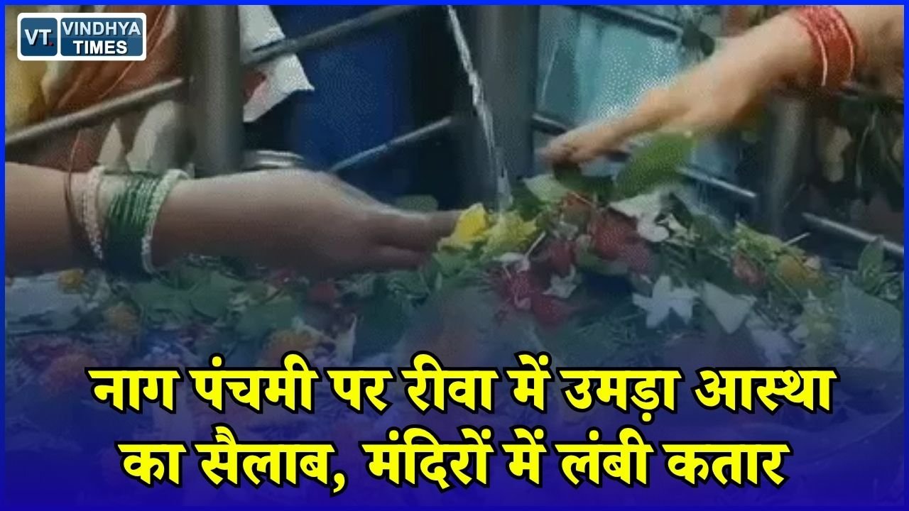 Rewa News: नाग पंचमी पर रीवा के शिवालयों में गूंजे हर-हर महादेव के जयकारे, महामृत्युंजय मंदिर में उमड़ी भीड़