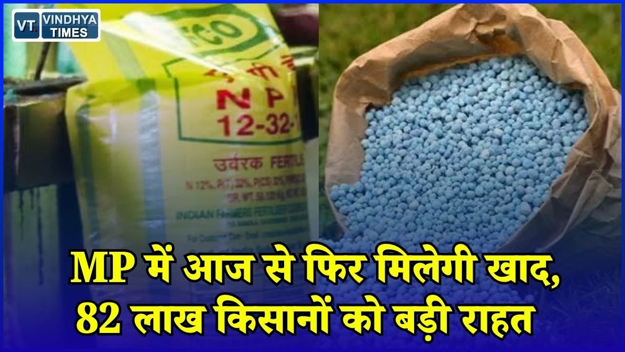 MP News: मध्य प्रदेश में दो दिन बाद फिर शुरू हुई खाद की बिक्री, यूरिया समेत सभी उर्वरकों का पर्याप्त स्टॉक