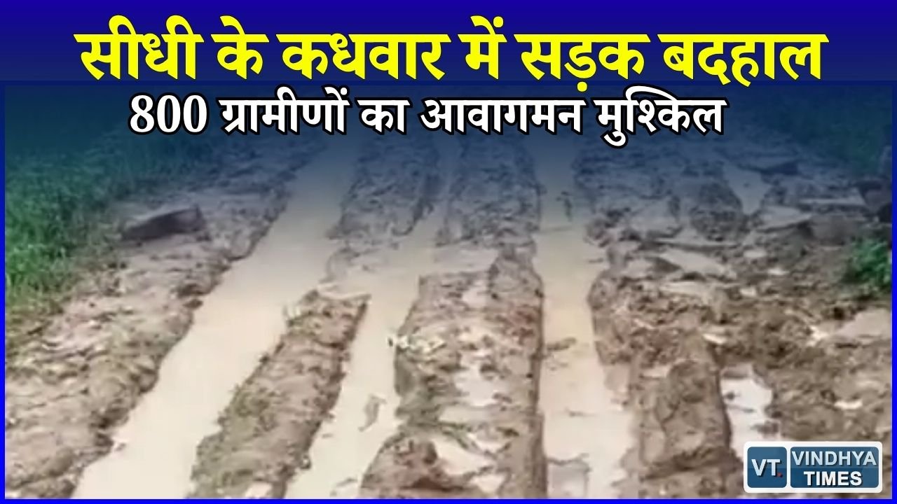 Sidhi News: कधवार के 4 वार्डों में सड़क की समस्या, बारिश में दलदल बन जाता है रास्ता