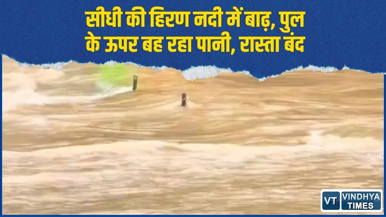 Sidhi News: हिरण नदी में अचानक बढ़ा पानी, पुल पर आवाजाही बंद, 1000 से ज्यादा लोग प्रभावित