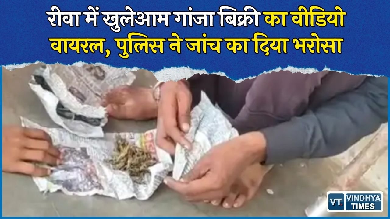 Rewa News: मनगवां के आवीं गांव में गांजा बेचने का वीडियो सामने आया, पुलिस करेगी जांच