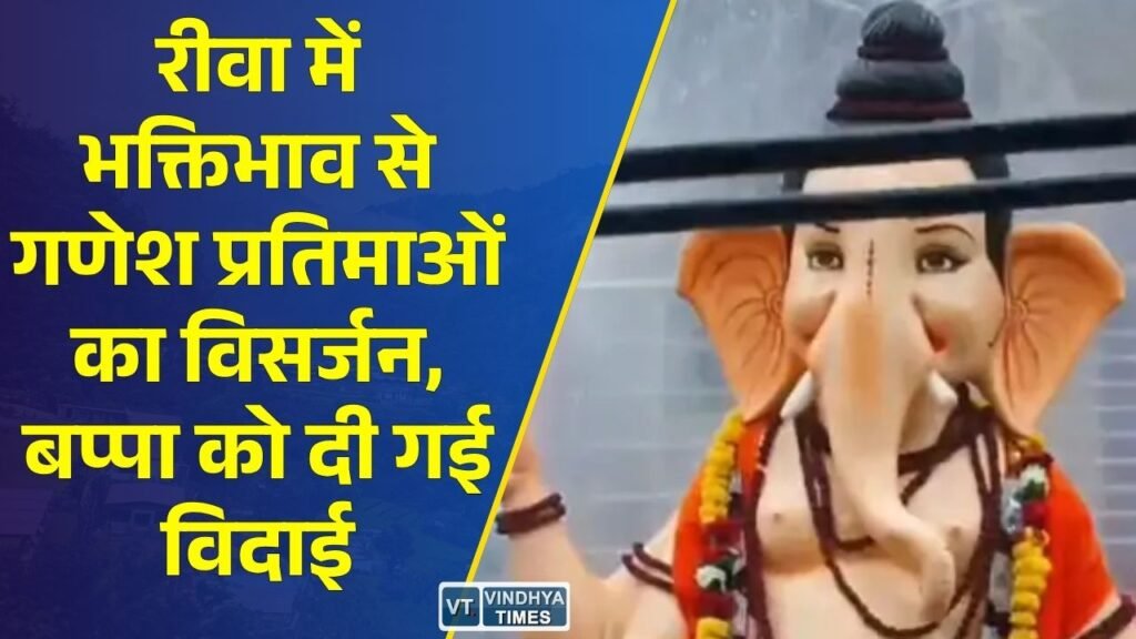 Rewa News: रीवा में ढोल-नगाड़ों और जयकारों के साथ गणपति बप्पा का विसर्जन, बारिश के बीच उमड़ा श्रद्धालुओं का जनसैलाब