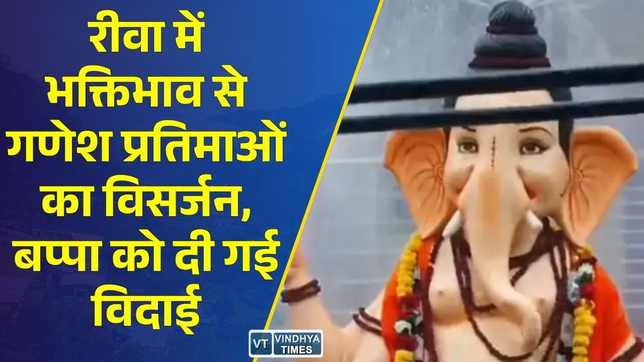 Rewa News: रीवा में ढोल-नगाड़ों और जयकारों के साथ गणपति बप्पा का विसर्जन, बारिश के बीच उमड़ा श्रद्धालुओं का जनसैलाब