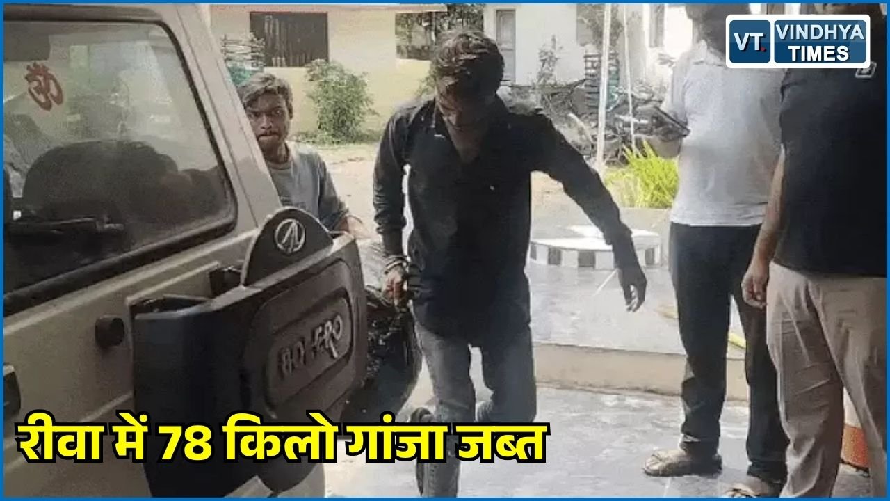 Rewa News: रीवा में गांजा तस्करी पर बड़ी कार्रवाई, सतना से गुढ़ ले जाई जा रही 78 किलो खेप पकड़ी