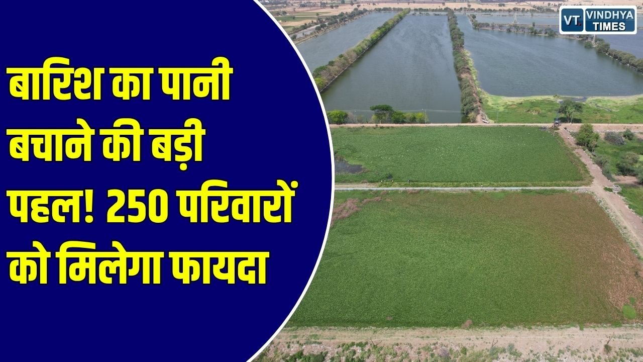 CG News: गौरेला-पेंड्रा-मरवाही में जल संरक्षण की बड़ी पहल, 24.30 लाख लीटर बारिश का पानी सहेजने की तैयारी