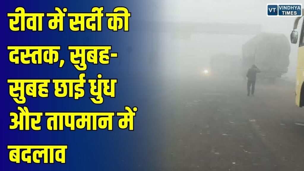 Rewa News: रीवा में सर्दी की आहट के साथ सुबह-सुबह छाई धुंध, दिन और रात के तापमान में आ रहा उतार-चढ़ाव