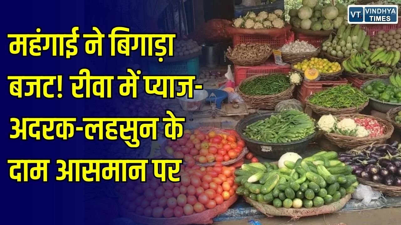 Rewa News: रीवा में सब्जियों की महंगाई से बिगड़ा रसोई का बजट, प्याज 80 और लहसुन 150 रुपए किलो तक पहुंचा