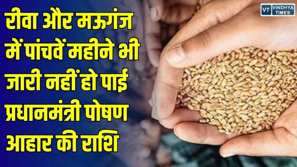 Rewa News: रीवा और मऊगंज में 5 महीने से रुका प्रधानमंत्री पोषण आहार का भुगतान, स्व-सहायता समूहों पर बढ़ा कर्ज का बोझ