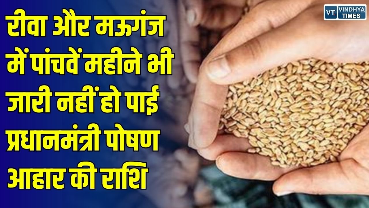 Rewa News: रीवा और मऊगंज में 5 महीने से रुका प्रधानमंत्री पोषण आहार का भुगतान, स्व-सहायता समूहों पर बढ़ा कर्ज का बोझ