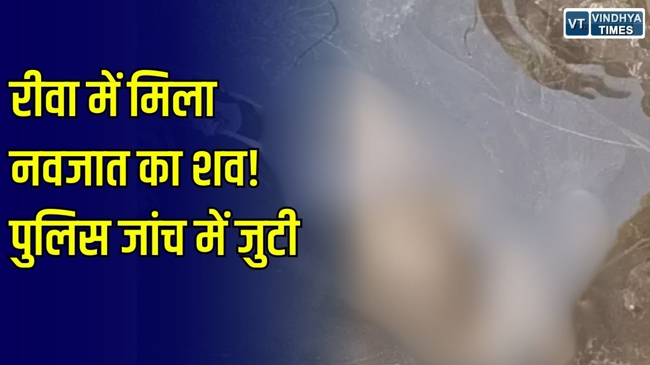 Rewa News: रीवा में नाली के अंदर मिला नवजात का शव, जांच में जुटी पुलिस