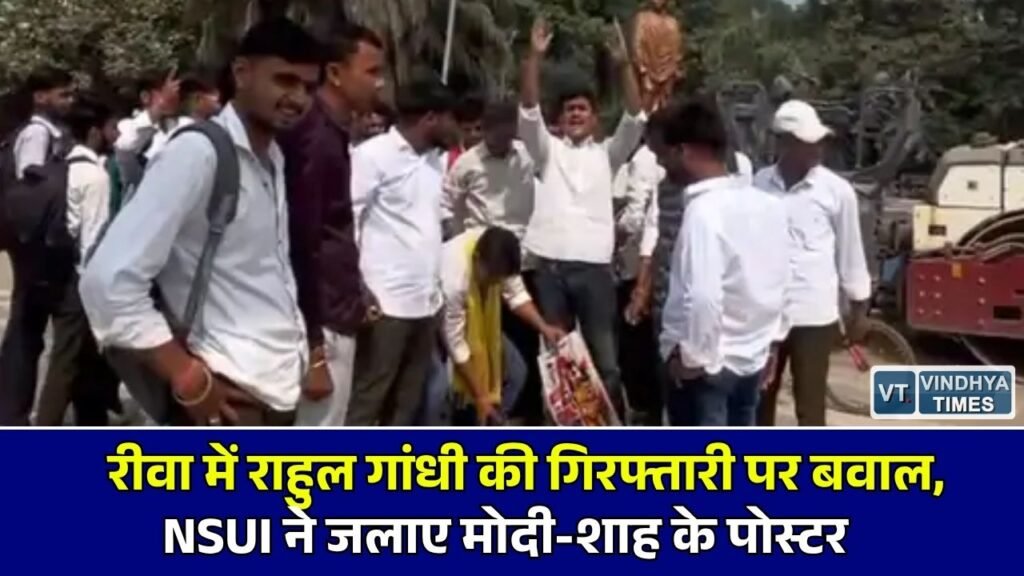 Rewa News: रीवा के कॉलेज चौराहे पर NSUI का उग्र प्रदर्शन, राहुल गांधी की गिरफ्तारी के विरोध में केंद्र सरकार के खिलाफ की नारेबाजी